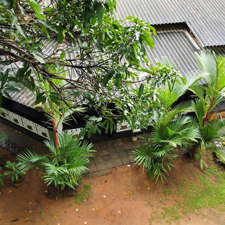 Green Bamboo House Szigirija Kültér fotó