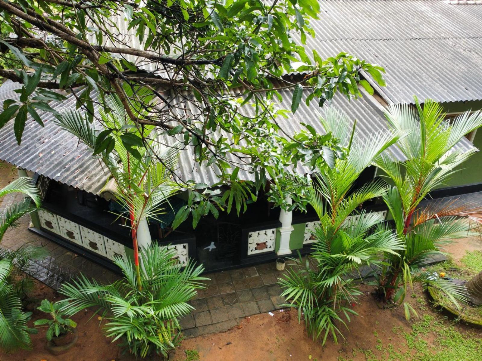 Green Bamboo House Szigirija Kültér fotó